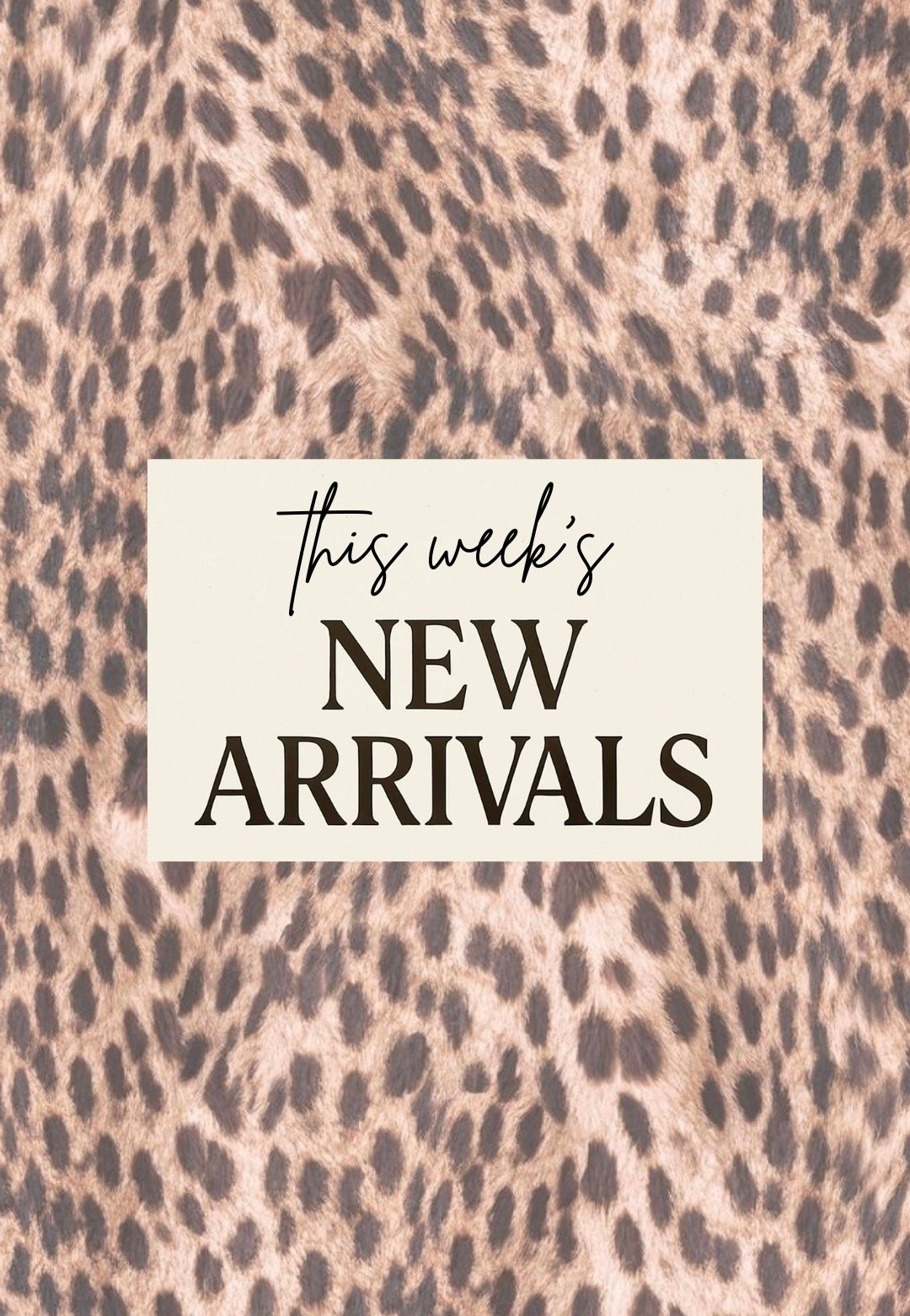 NEW ARRIVALS •••